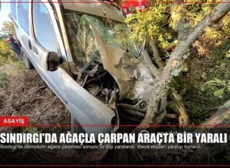 Sındırgı’da Ağaçla Çarpan Araçta Bir Yaralı