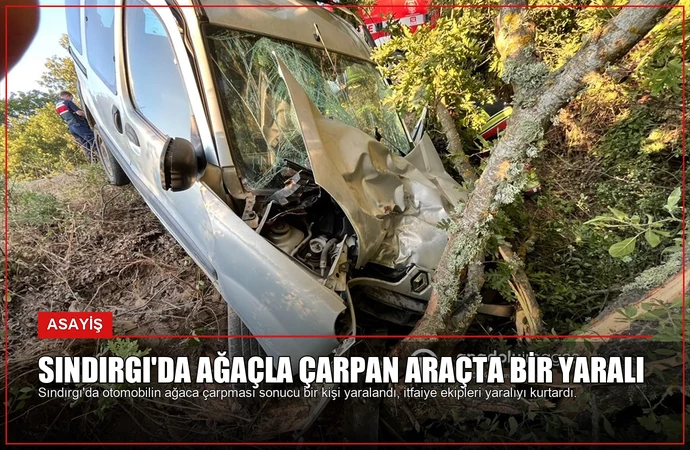 Sındırgı’da Ağaçla Çarpan Araçta Bir Yaralı