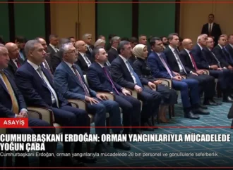 Cumhurbaşkanı Erdoğan: Orman Yangınlarıyla Mücadelede Yoğun Çaba