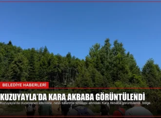 Kuzuyayla’da Kara Akbaba Görüntülendi