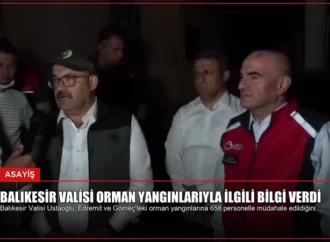 Balıkesir Valisi Orman Yangınlarıyla İlgili Bilgi Verdi