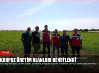 Karpuz Üretim Alanları Denetlendi