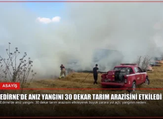 Edirne’de Anız Yangını 30 Dekar Tarım Arazisini Etkiledi