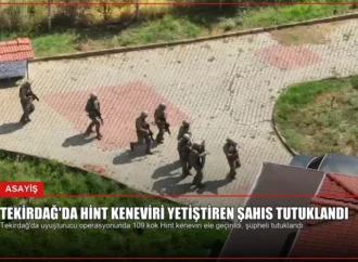 Tekirdağ’da Hint Keneviri Yetiştiren Şahıs Tutuklandı