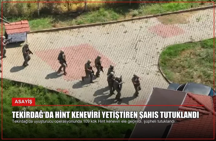 Tekirdağ’da Hint Keneviri Yetiştiren Şahıs Tutuklandı