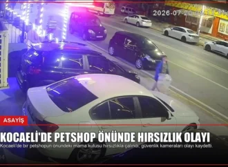 Kocaeli’de Petshop Önünde Hırsızlık Olayı