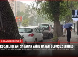 Kocaeli’de Ani Sağanak Yağış Hayatı Olumsuz Etkiledi