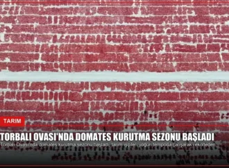 Torbalı Ovası’nda Domates Kurutma Sezonu Başladı