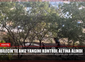 Bilecik’te Anız Yangını Kontrol Altına Alındı