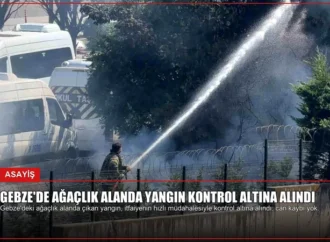 Gebze’de Ağaçlık Alanda Yangın Kontrol Altına Alındı
