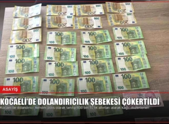 Kocaeli’de Dolandırıcılık Şebekesi Çökertildi