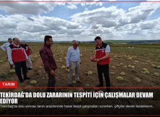 Tekirdağ’da Dolu Zararının Tespiti İçin Çalışmalar Devam Ediyor