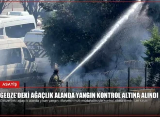Gebze’deki Ağaçlık Alanda Yangın Kontrol Altına Alındı