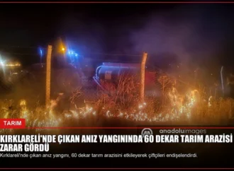 Kırklareli’nde çıkan anız yangınında 60 dekar tarım arazisi zarar gördü