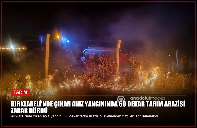 Kırklareli’nde çıkan anız yangınında 60 dekar tarım arazisi zarar gördü
