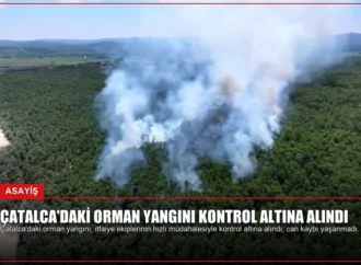Çatalca’daki Orman Yangını Kontrol Altına Alındı
