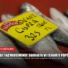 Kocaeli’de Yaz Mevsiminde Sardalya ve İstavrit Popüler