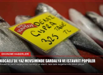 Kocaeli’de Yaz Mevsiminde Sardalya ve İstavrit Popüler