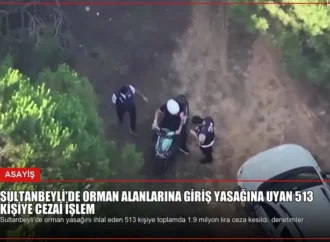 Sultanbeyli’de Orman Alanlarına Giriş Yasağına Uyan 513 Kişiye Cezai İşlem