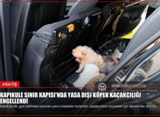 Kapıkule Sınır Kapısı’nda Yasa Dışı Köpek Kaçakçılığı Engellendi