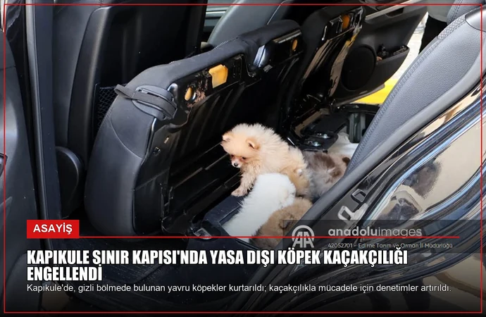 Kapıkule Sınır Kapısı’nda Yasa Dışı Köpek Kaçakçılığı Engellendi