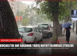 Kocaeli’de Ani Sağanak Yağış Hayatı Olumsuz Etkiledi
