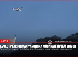 Ayvacık’taki Orman Yangınına Müdahale Devam Ediyor