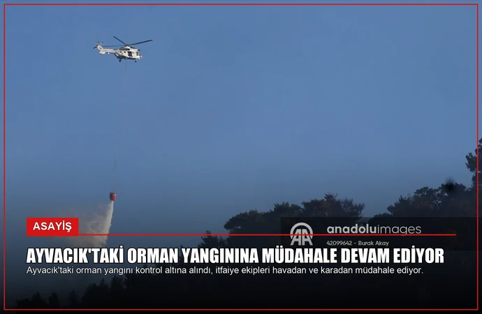 Ayvacık’taki Orman Yangınına Müdahale Devam Ediyor