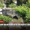 Tarihi sur kalıntıları bitki örtüsüyle kayboldu