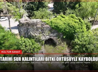 Tarihi sur kalıntıları bitki örtüsüyle kayboldu