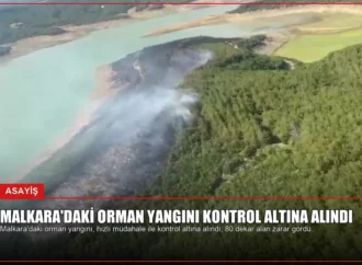 Malkara’daki Orman Yangını Kontrol Altına Alındı