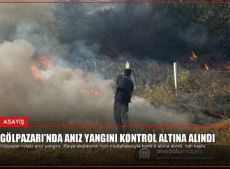 Gölpazarı’nda Anız Yangını Kontrol Altına Alındı