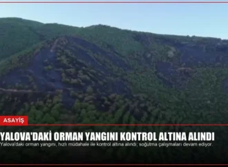 Yalova’daki Orman Yangını Kontrol Altına Alındı
