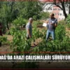 Tekirdağ’da Arazi Çalışmaları Sürüyor