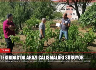 Tekirdağ’da Arazi Çalışmaları Sürüyor