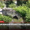 Tarihi sur kalıntıları doğanın etkisiyle kayboluyor