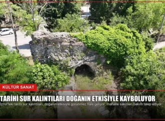 Tarihi sur kalıntıları doğanın etkisiyle kayboluyor