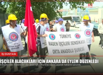 İşçiler Alacakları İçin Ankara’da Eylem Düzenledi