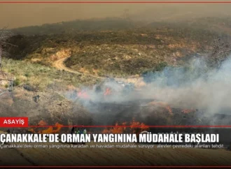 Çanakkale’de Orman Yangınına Müdahale Başladı