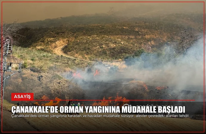 Çanakkale’de Orman Yangınına Müdahale Başladı
