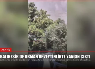 Balıkesir’de Orman ve Zeytinlikte Yangın Çıktı
