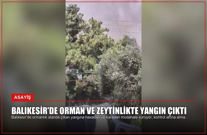 Balıkesir’de Orman ve Zeytinlikte Yangın Çıktı