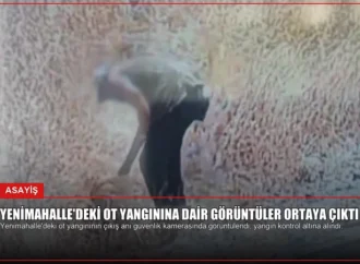 Yenimahalle’deki Ot Yangınına Dair Görüntüler Ortaya Çıktı
