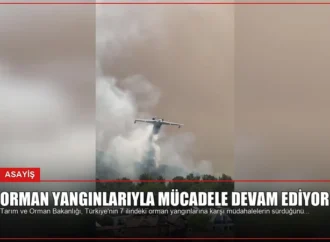 Orman Yangınlarıyla Mücadele Devam Ediyor