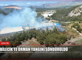 Bilecik’te Orman Yangını Söndürüldü