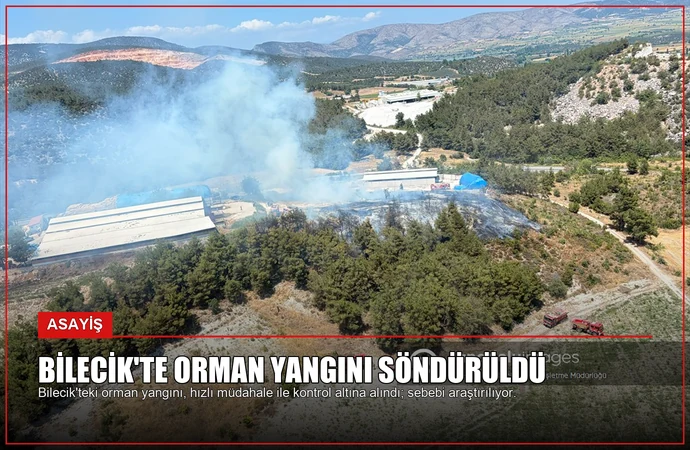 Bilecik’te Orman Yangını Söndürüldü