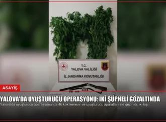 Yalova’da Uyuşturucu Operasyonu: İki Şüpheli Gözaltında