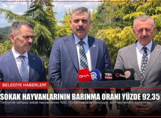 Sokak Hayvanlarının Barınma Oranı Yüzde 92,35