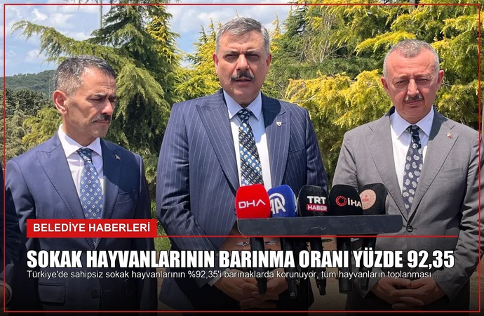 Sokak Hayvanlarının Barınma Oranı Yüzde 92,35