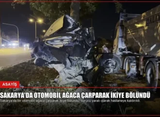 Sakarya’da Otomobil Ağaca Çarparak İkiye Bölündü